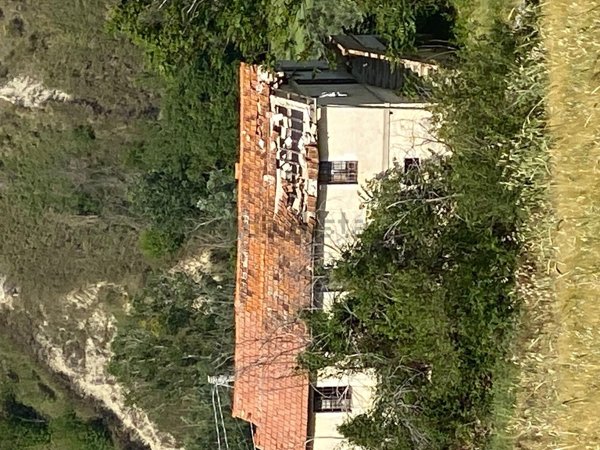 esavano in vendita a Notaresco