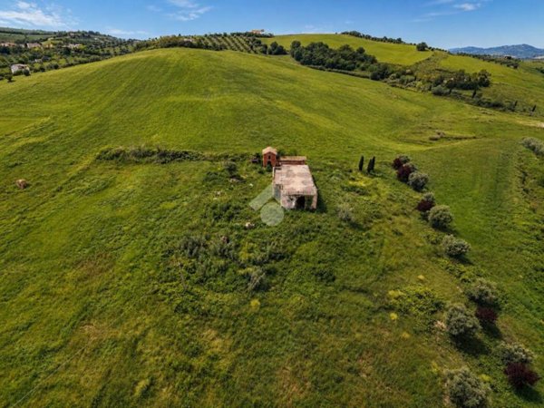 terreno agricolo in vendita a Notaresco in zona Grasciano