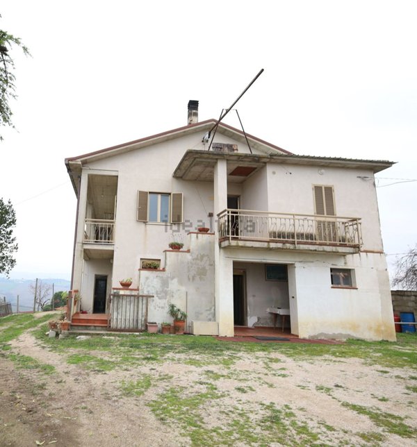 esavano in vendita a Notaresco in zona Grasciano