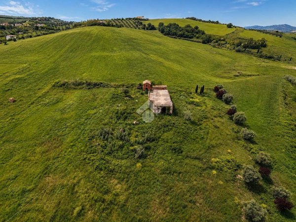 terreno agricolo in vendita a Notaresco in zona Pianura di Notaresco