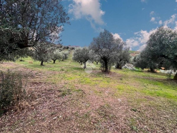 terreno in vendita a Notaresco in zona Vallevignale