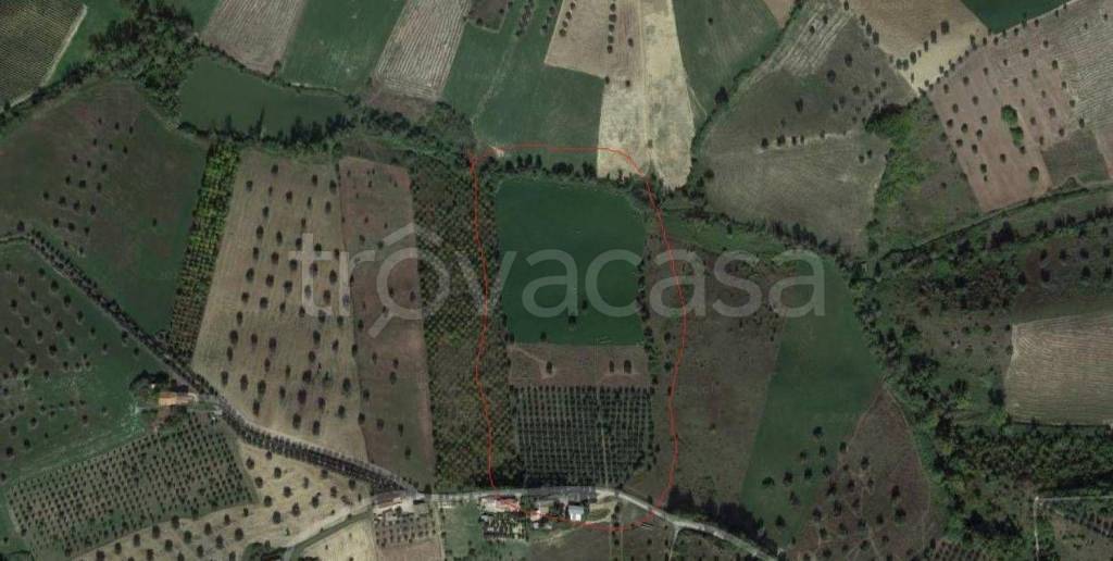 terreno agricolo in vendita a Notaresco in zona Guardia Vomano