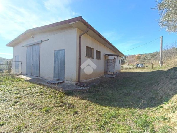 terreno agricolo in vendita a Pineto in zona Mutignano