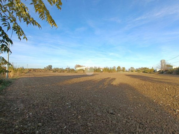 terreno agricolo in vendita a Pineto in zona Scerne