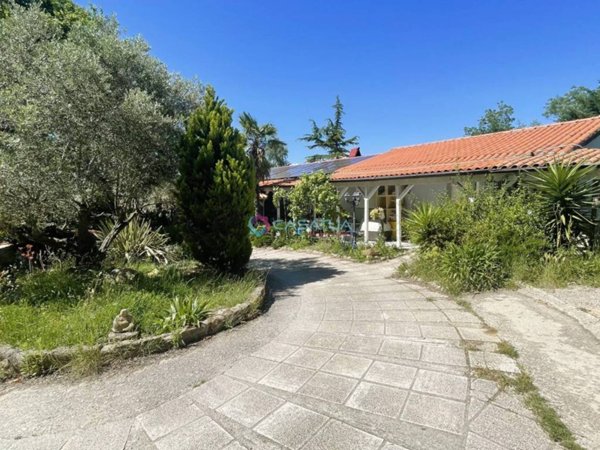 casa indipendente in vendita a Pineto
