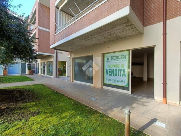 negozio in vendita a Pineto