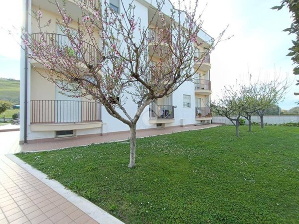 appartamento in vendita a Pineto
