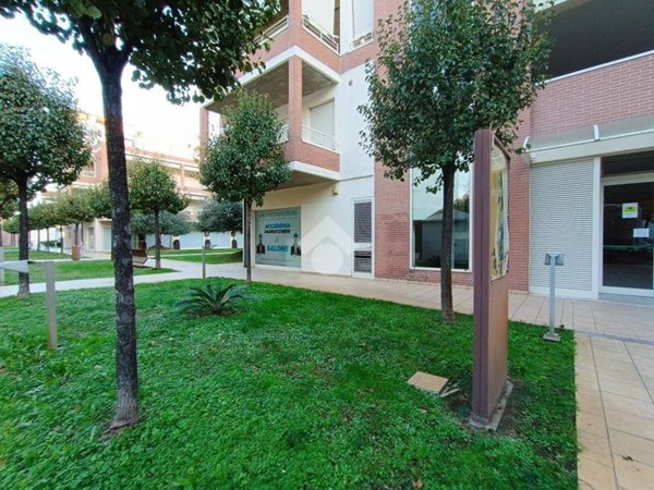 appartamento in vendita a Pineto