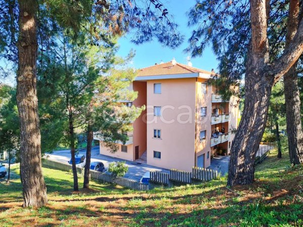 appartamento in vendita a Pineto