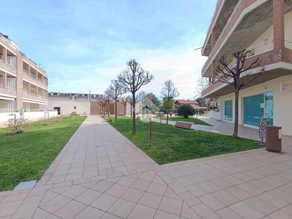 appartamento in vendita a Pineto