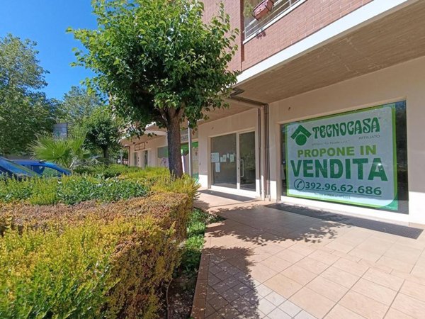 appartamento in vendita a Pineto
