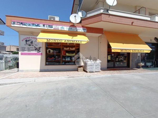 appartamento in vendita a Pineto