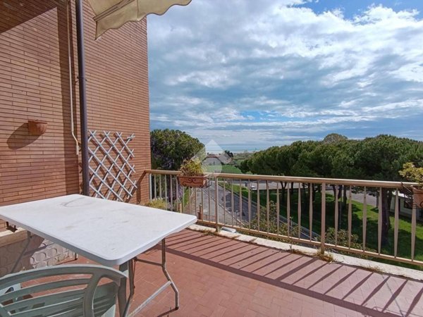 appartamento in vendita a Pineto in zona Scerne