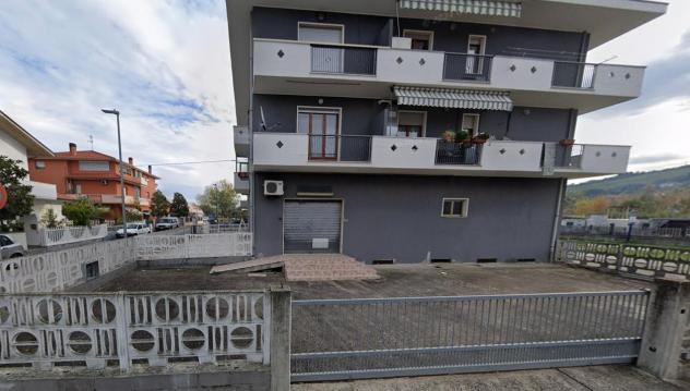 negozio in vendita a Pineto