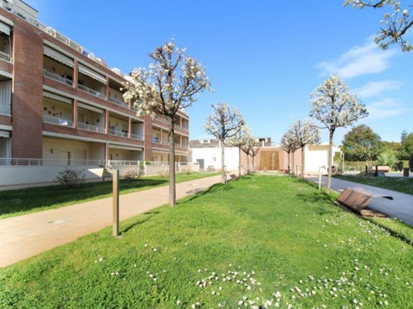 appartamento in vendita a Pineto