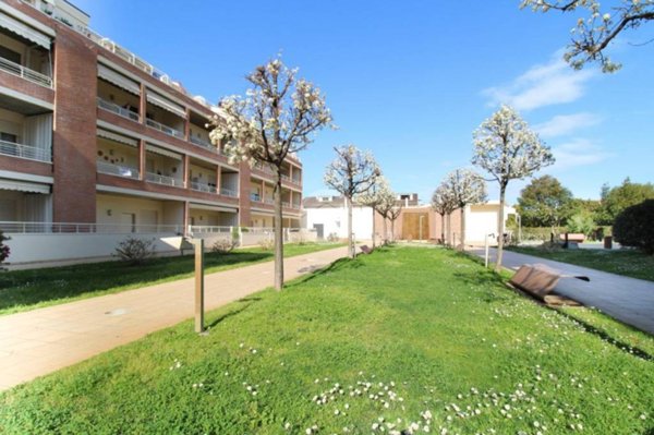 appartamento in vendita a Pineto
