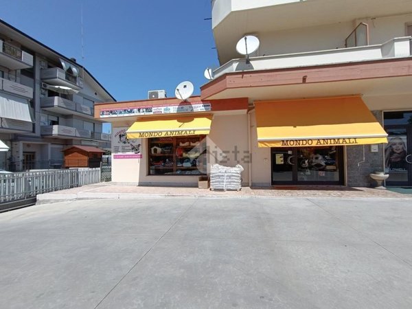 appartamento in vendita a Pineto