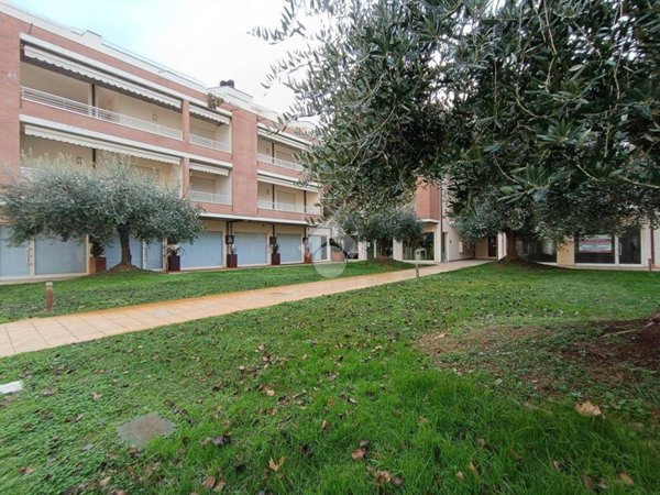 appartamento in vendita a Pineto