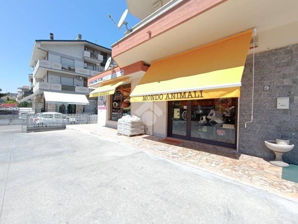 negozio in vendita a Pineto