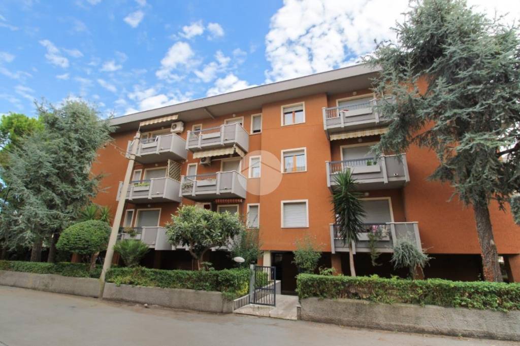 appartamento in vendita a Pineto