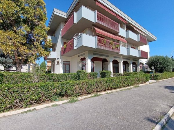 appartamento in vendita a Pineto in zona Scerne