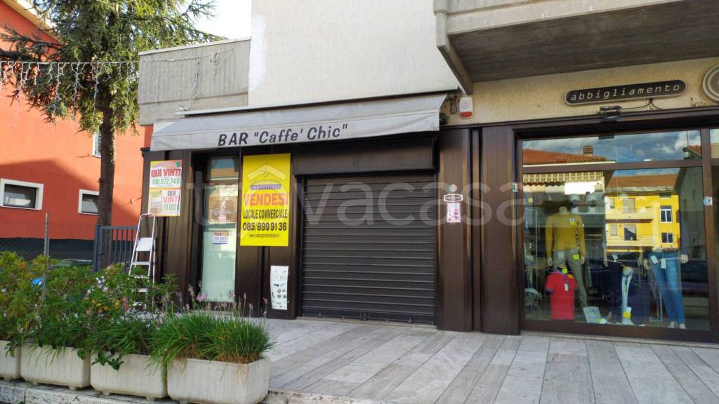 negozio in vendita a Pineto in zona Scerne