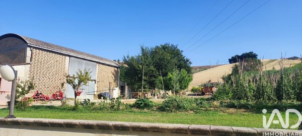 terreno agricolo in vendita a Pineto