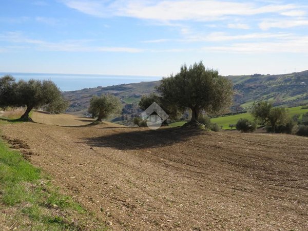 terreno agricolo in vendita a Pineto in zona Mutignano