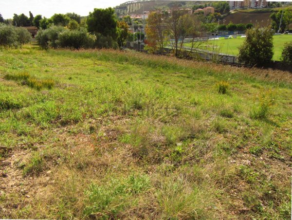 terreno edificabile in vendita a Pineto