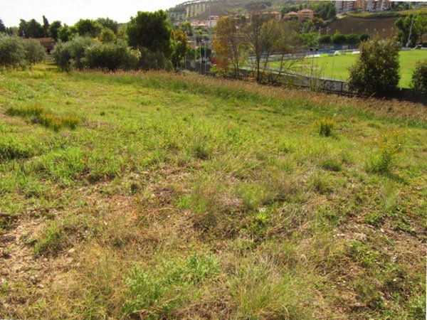terreno in vendita a Pineto in zona Colle Morino