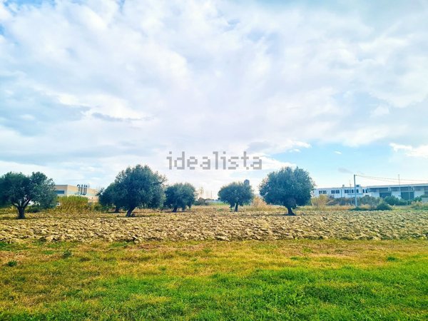 terreno edificabile in vendita a Pineto in zona Scerne