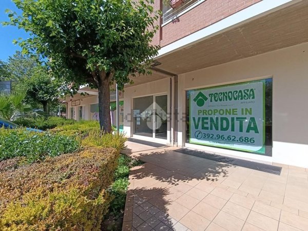 appartamento in vendita a Pineto