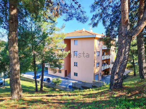appartamento in vendita a Pineto