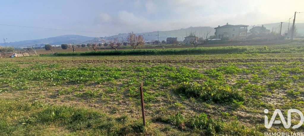 terreno in vendita a Pineto in zona Colle Morino