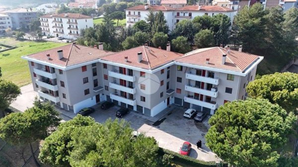 appartamento in vendita a Pineto