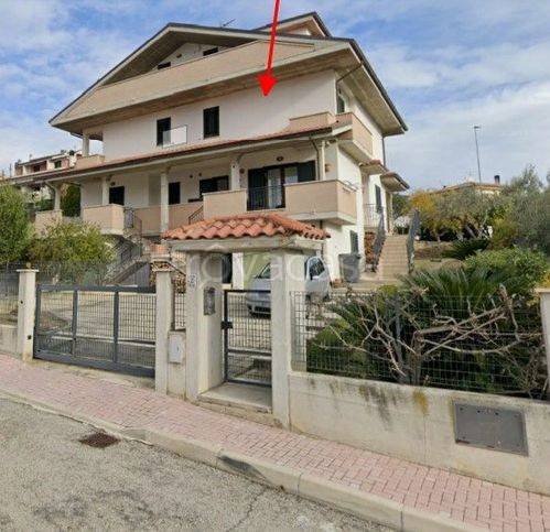 appartamento in vendita a Pineto