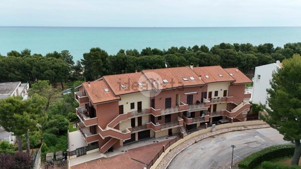 appartamento in vendita a Pineto