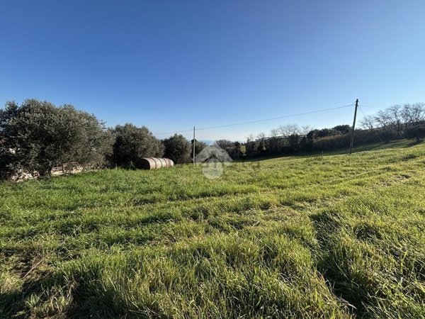 casa indipendente in vendita a Pineto