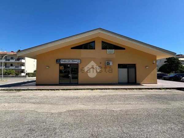 appartamento in vendita a Pineto