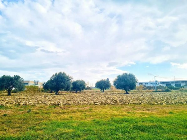 terreno agricolo in vendita a Pineto in zona Scerne
