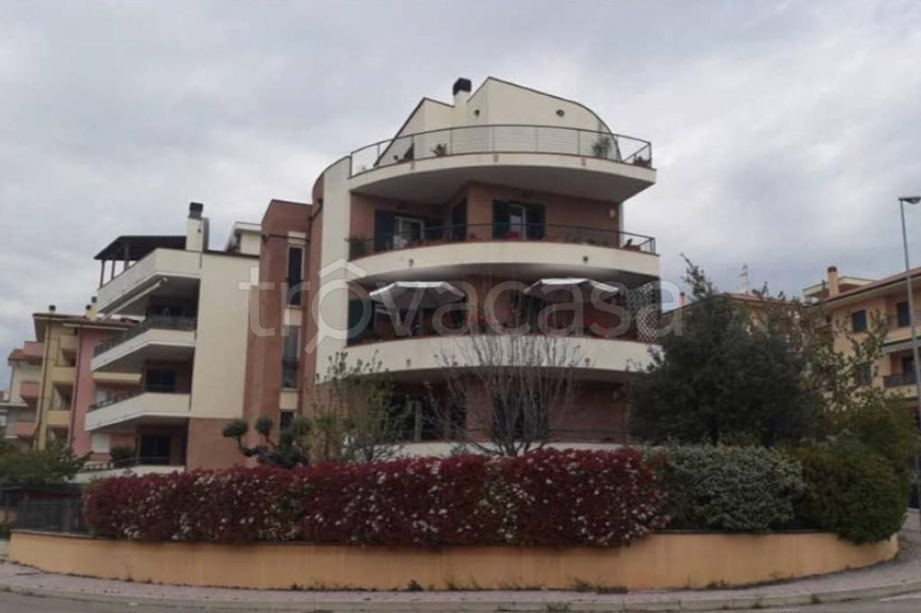appartamento in vendita a Pineto