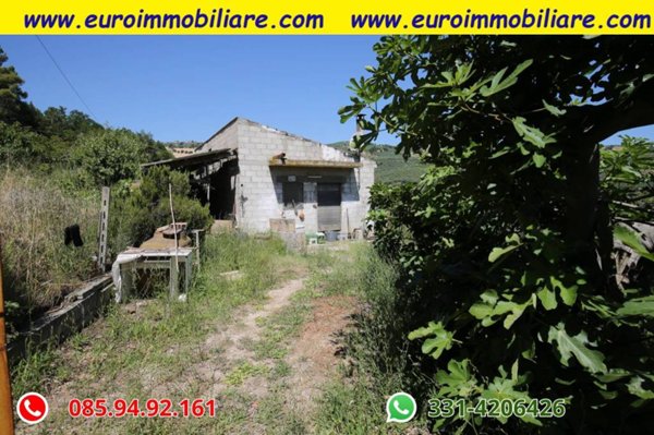 terreno agricolo in vendita a Pineto