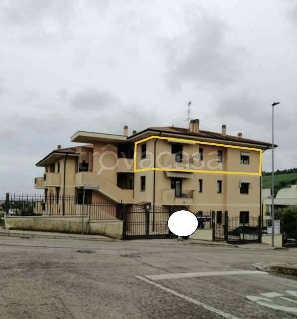 appartamento in vendita a Pineto