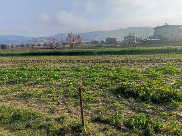 terreno in vendita a Pineto in zona Colle Morino