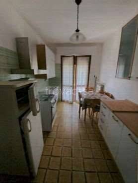 appartamento in vendita a Pineto