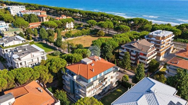 appartamento in vendita a Pineto