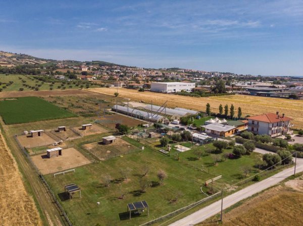 azienda agricola in vendita a Roseto degli Abruzzi