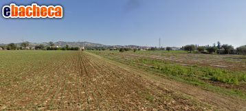 terreno agricolo in vendita a Roseto degli Abruzzi