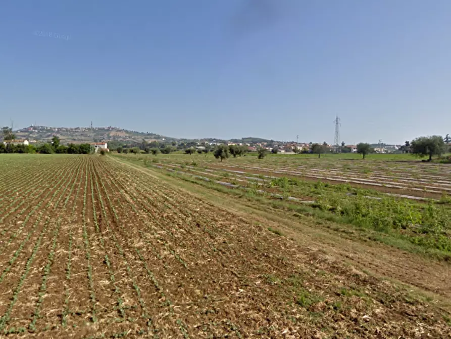 terreno agricolo in vendita a Roseto degli Abruzzi in zona Palazzese