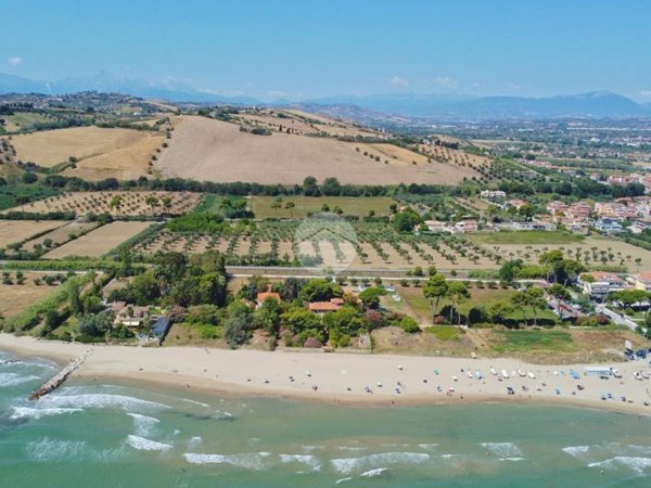 esavano in vendita a Roseto degli Abruzzi